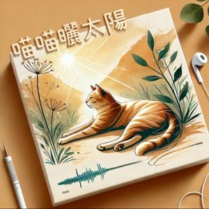 喵喵曬太陽