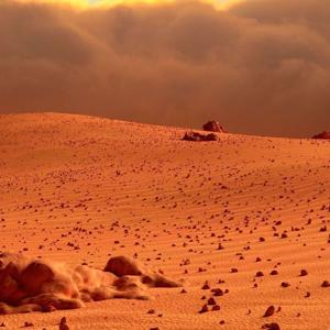 Martian Gardens