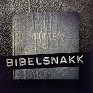 Bibelsnakk