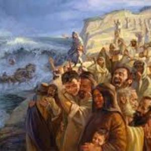"Exodus: Freedom, Struggle, and Transformation"