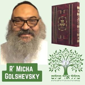 Sha'ar Hakavanos - Rav Micha Golshevsky
