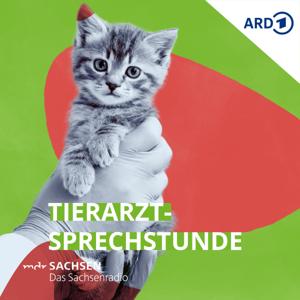 MDR SACHSEN Tierarztsprechstunde