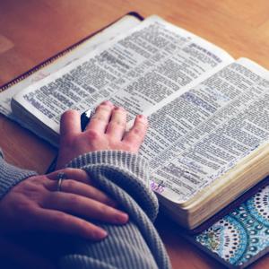 Scripture and Life