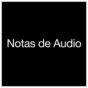 Notas de Audio