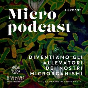 Micropodcast