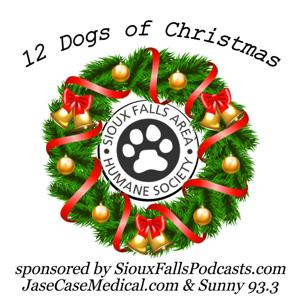 Twelve Dogs of Christmas