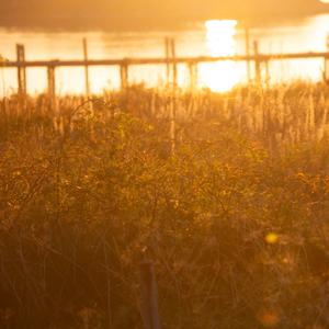 LBS Göteborg Podcast for a better day