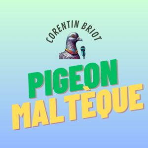 Pigeon Maltèque