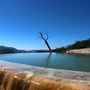 Presentación en Shark Tank