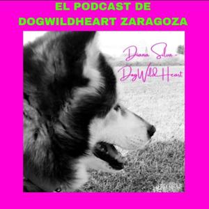 DogWildHeart Zaragoza