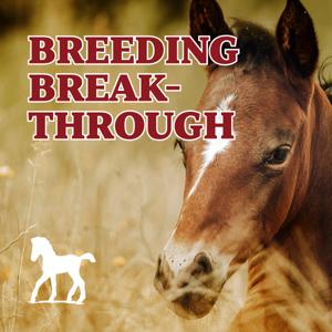 Breeding Breakthrough / Problem Mares