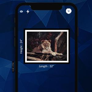 LIVE Frame AR
