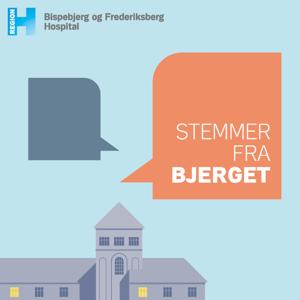 Stemmer fra Bjerget