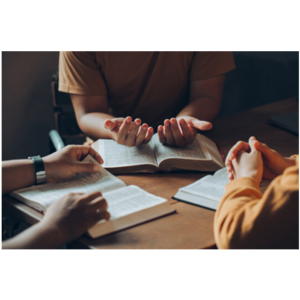 MegaCMC Daily Audio Bible (Chinese)