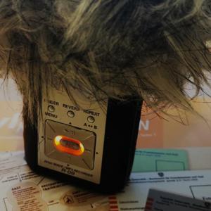 asylfakt -- Der podcast der asylkoordination österreich