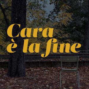Cara è la fine