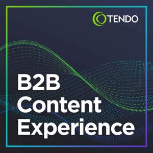 B2B Content Experience