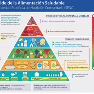 Entrevista Marina: pirámide alimenticia