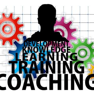 Professional Development for African Americans