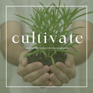 Cultivate