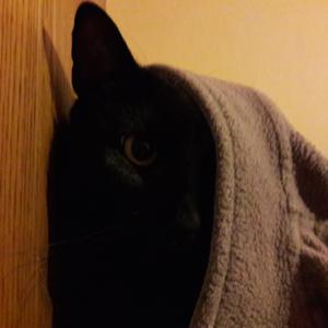 Something new podcast o niczym