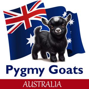 Pygmy Goats Australia Podcast