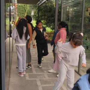 Dia migracions al MhiC