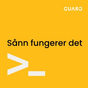 Sånn fungerer det