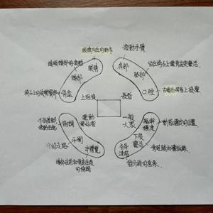 費登奎斯老蔡的12堂課