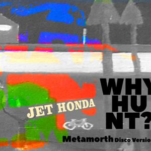 Why Hunt -