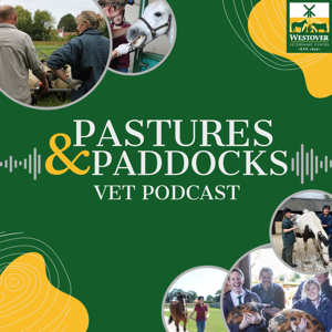 Pastures & Paddocks Vet Podcast