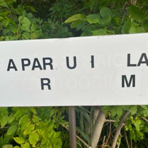 Aparuila