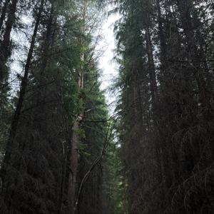 От сердца с любовью