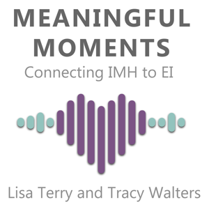 Meaningful Moments - Connecting IMH to EI