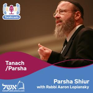 8. Vayishlach – Shiurim of Rav Aaron Lopiansky