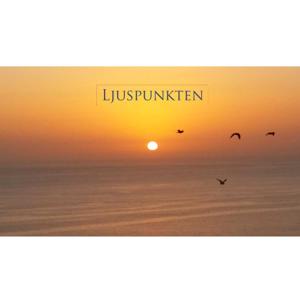 Ljuspunkten