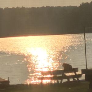 CJ Reynolds's podcast