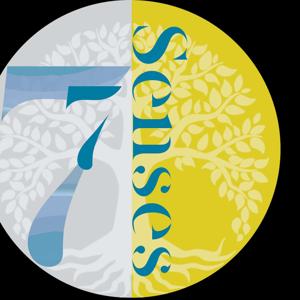 7 Senses Podcast