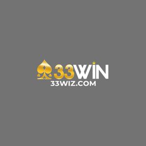 33wizcom