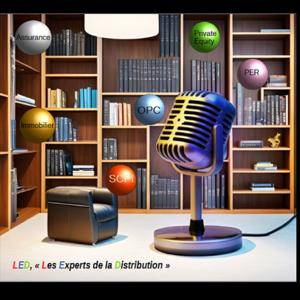 LED : Les Experts de la Distribution