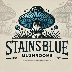 Stainsblue's podcast