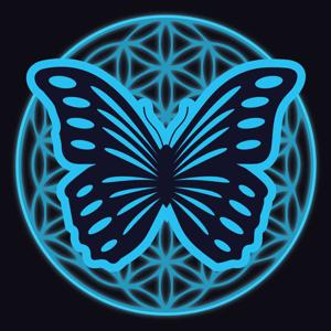 The Morpho Project