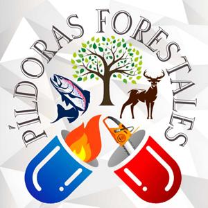Píldoras forestales