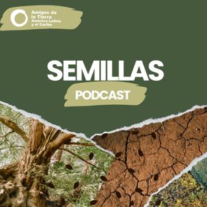 SEMILLAS