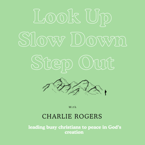 Look up, Slow Down, Step Out | Christians, Nature, Mental Health