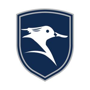 A Bird's-Eye View of the Bond Market