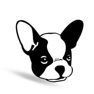 Give A Sh!t - Earth-friendly Pet Products