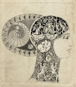 White Wellness Radio