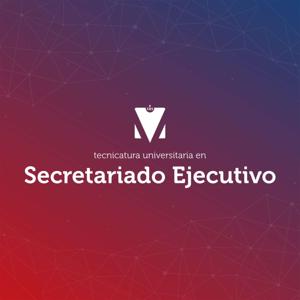 TECNICATURA UNIVERSITARIA EN SECRETARIADO EJECUTIVO