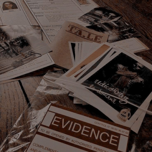 The Crime Wiz: Understanding Crimes, Preventing Crime, and Theories